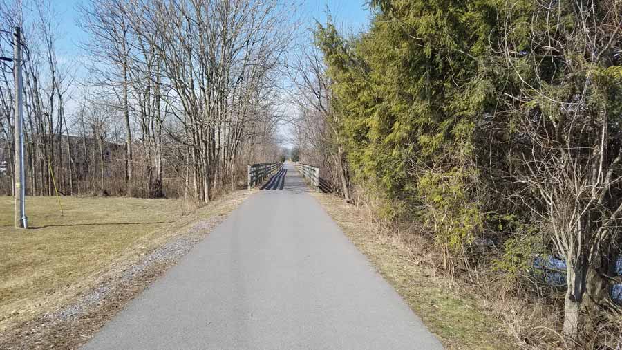 wooded area around trail