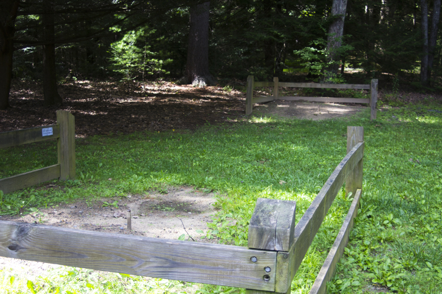 horseshoe pits