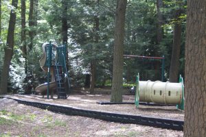 slide, swings, and tube to crawl through