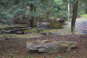 flat rock beside stream