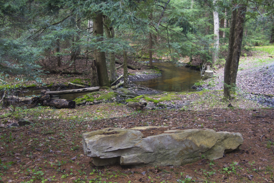 flat rock beside stream