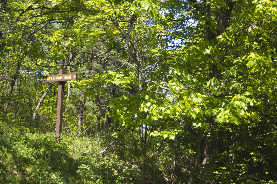 overlook trail sign