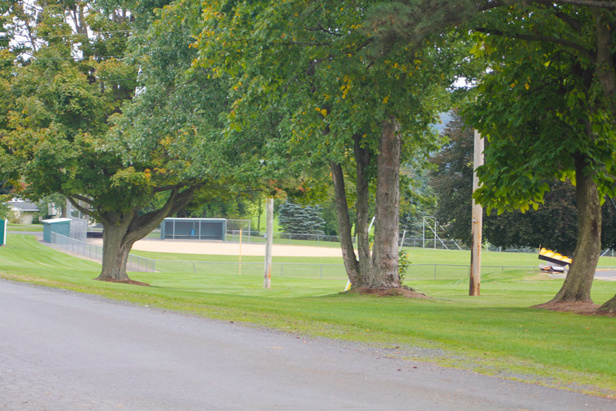 ball field through trees