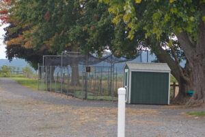 batting cage