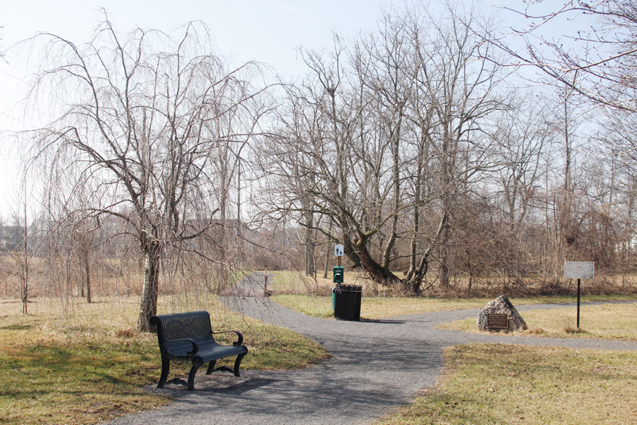 bench and gravel path