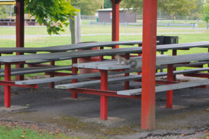 squirrel on a picnic table at a pavilion