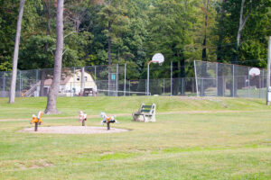 playground bouncies and basketball court