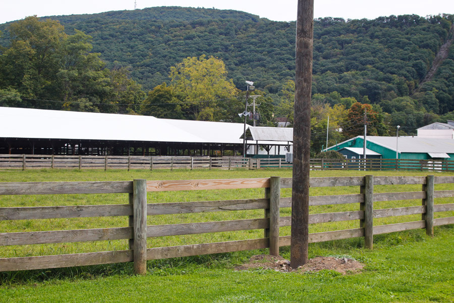 fence and pavilions