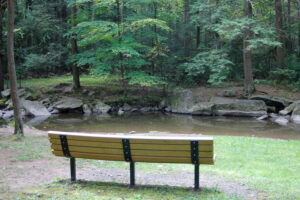 bench overlooking stream