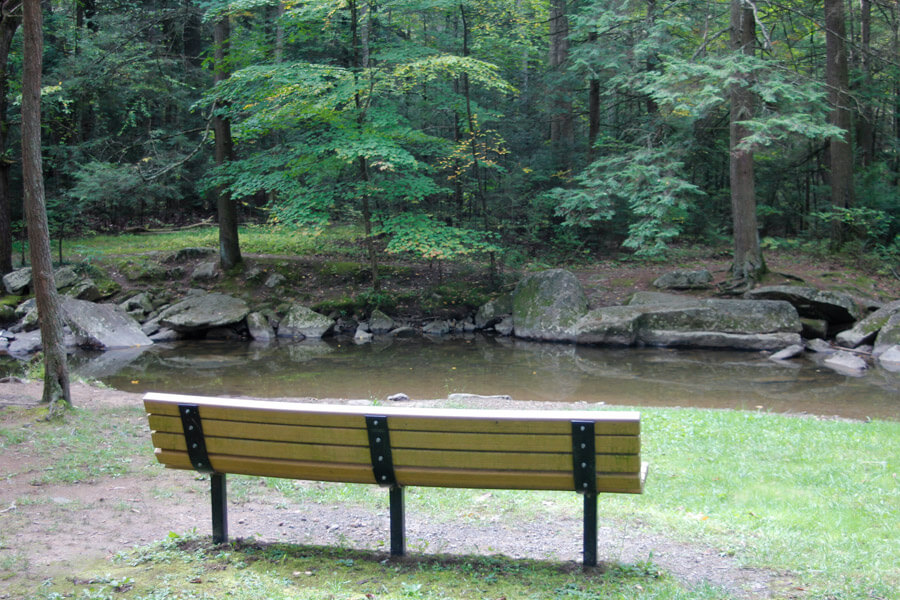 bench overlooking stream