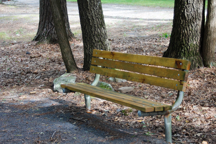 bench