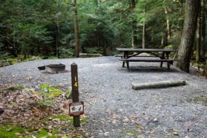 picnic table, fire ring, and gravel