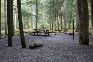 picnic table, fire ring, and pole