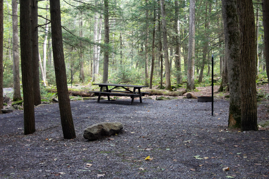 picnic table, fire ring, and pole