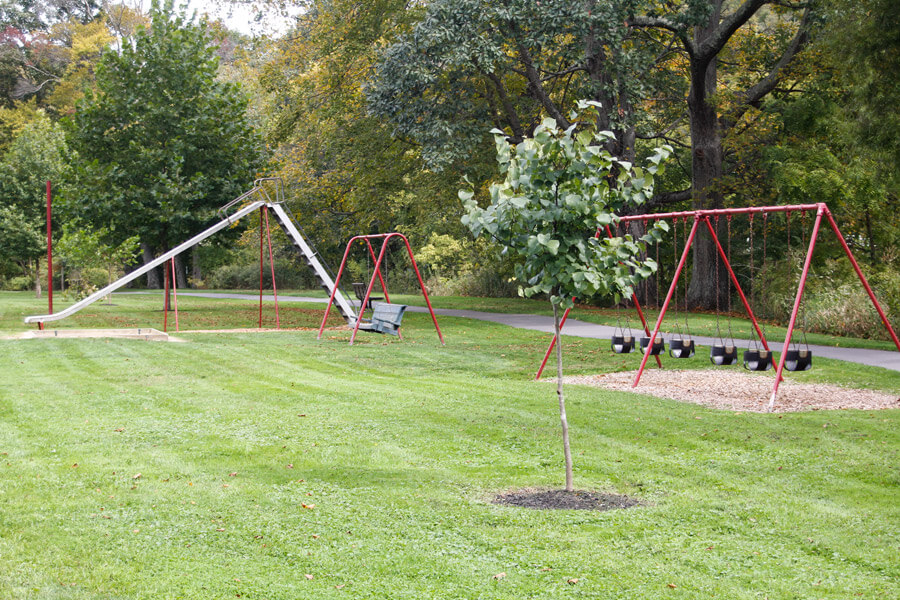 swings and a large slide