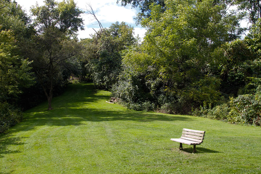 bench along a grassy path