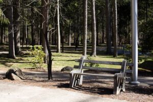 bench along sidewalk