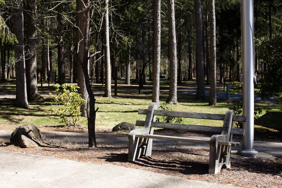 bench along sidewalk