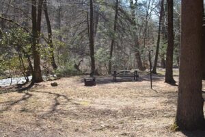 campsite by the stream