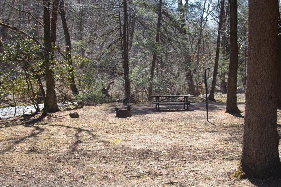 campsite by the stream