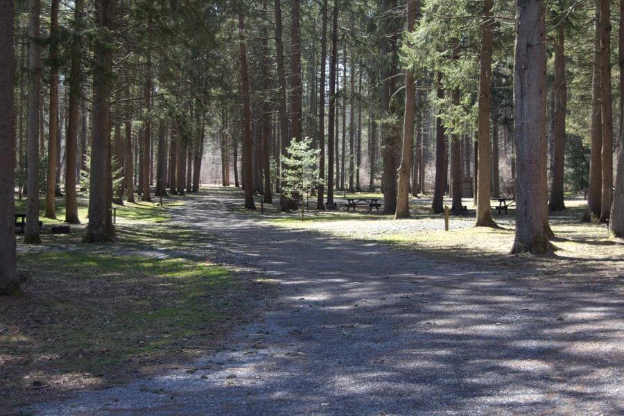 main path through the campsites