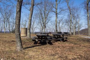 picnic tables and grills