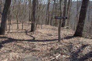 sign says "Ligenza Tr."