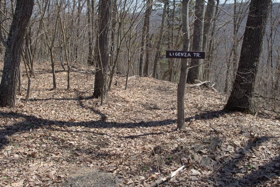 sign says "Ligenza Tr."