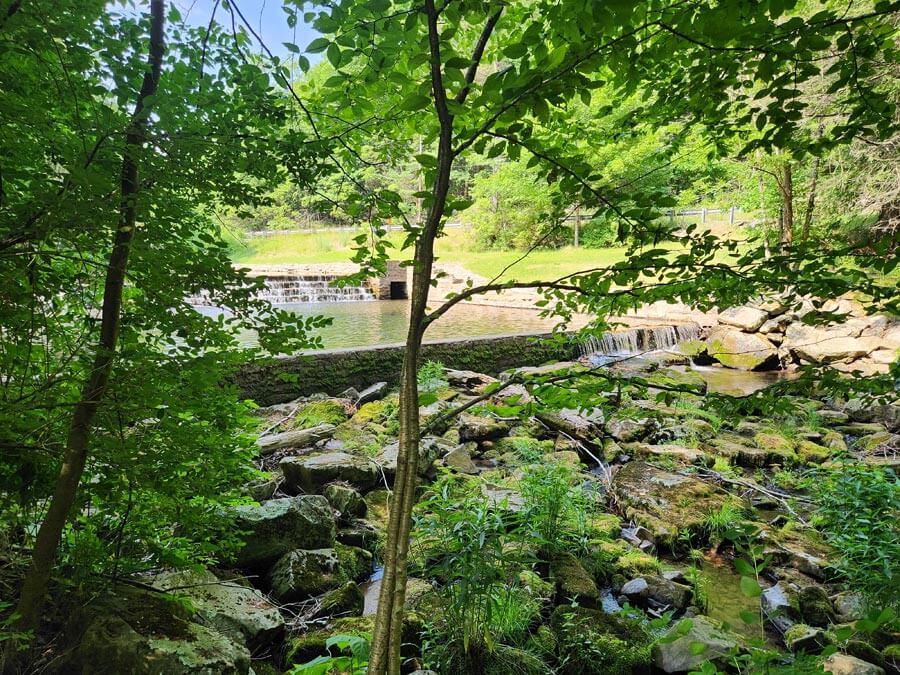 looking upstream towards dam