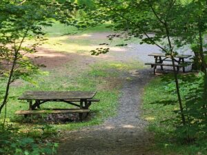 picnic area