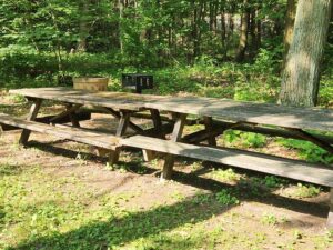 grill beside picnic tables