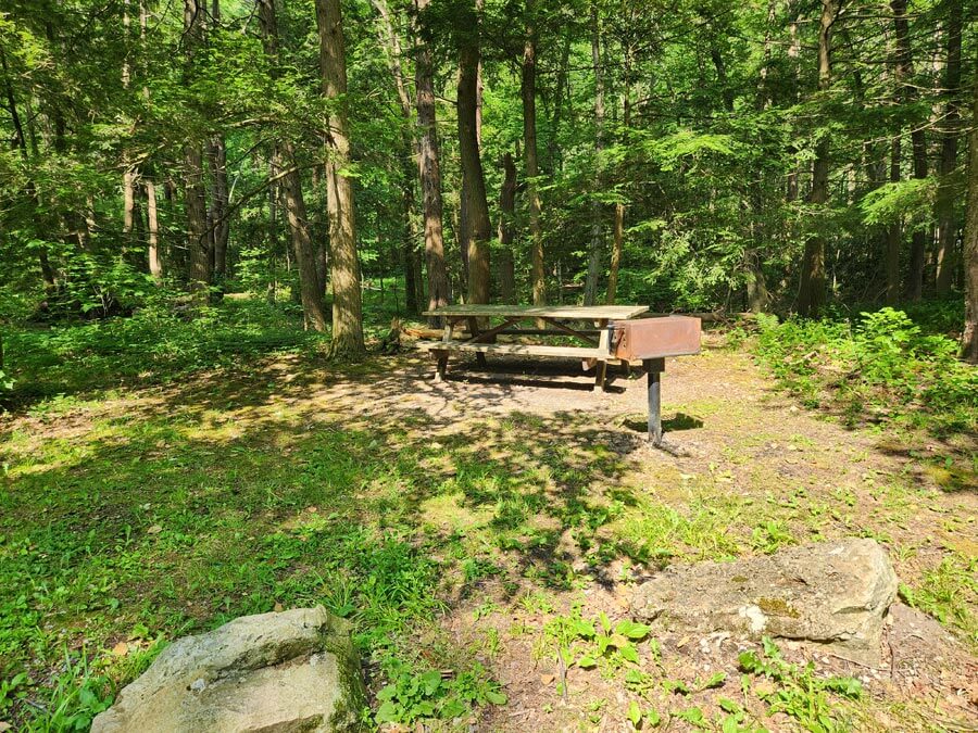 picnic table and grill