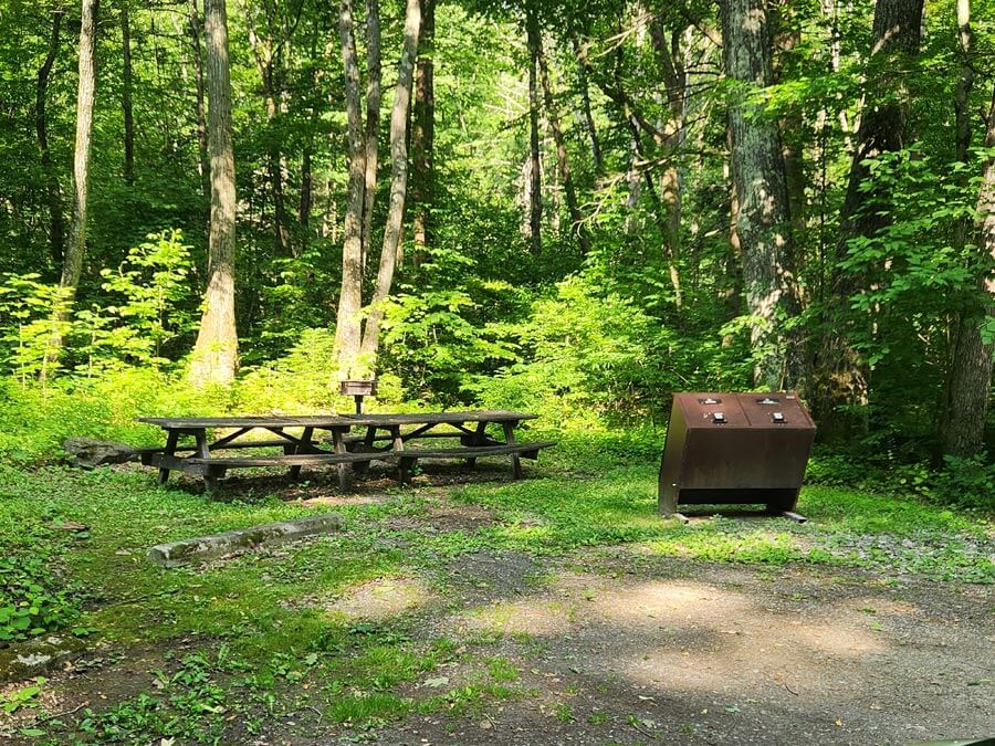 picnic tables, grill, and trash cans