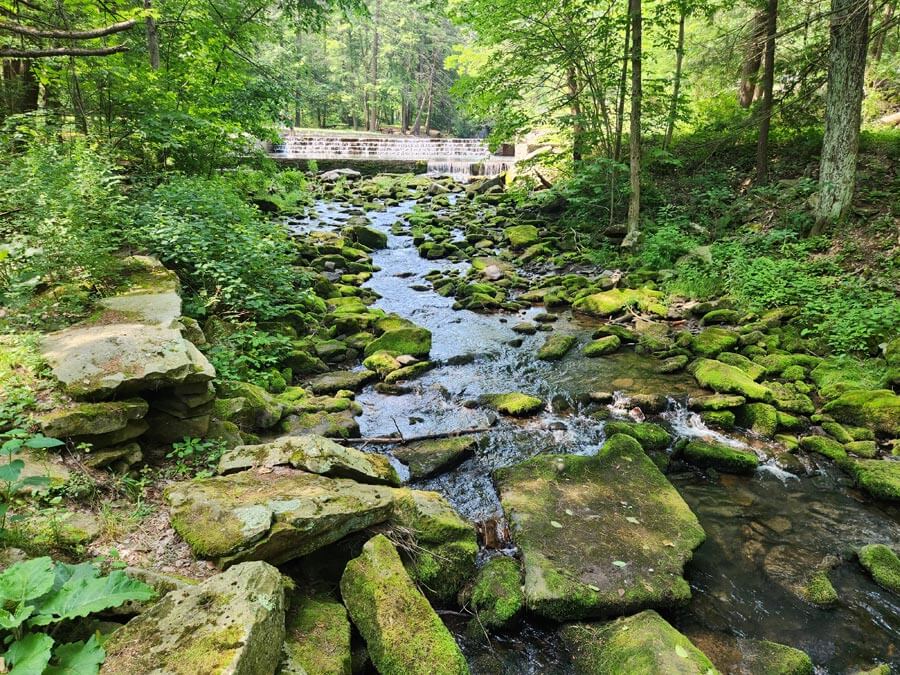 looking upstream at the dam