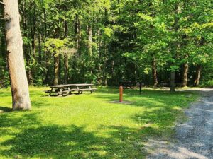 water fountain at a picnic area