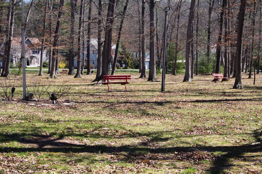 benches in a wooded area