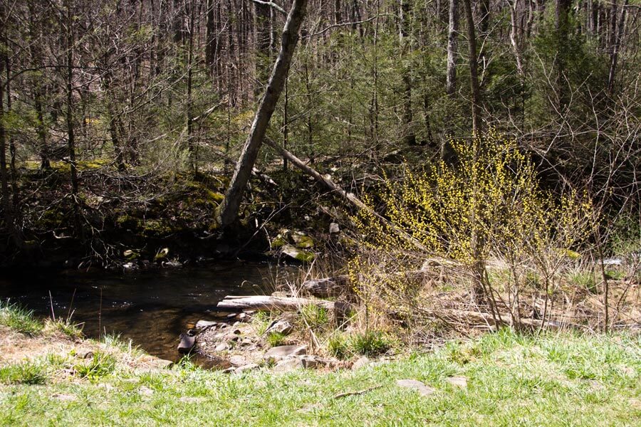 stream