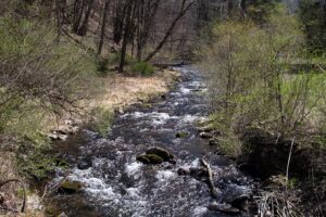 stream