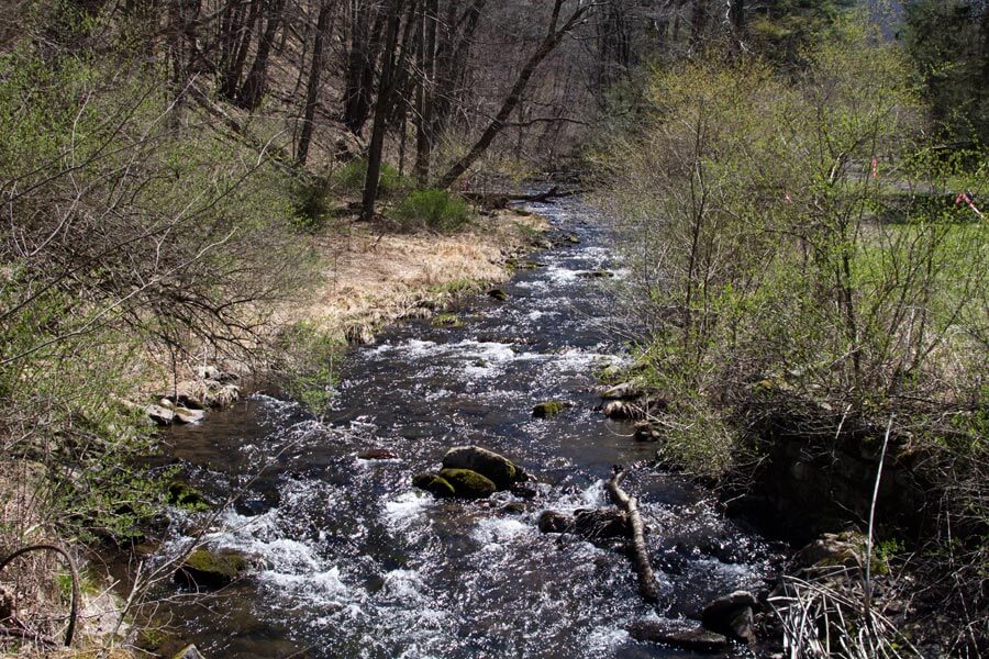 stream