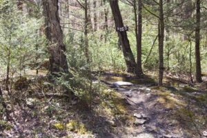 trail sign