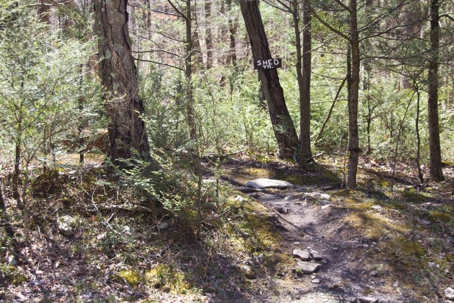 trail sign