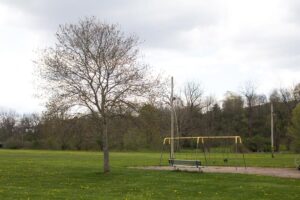 swings and a bench