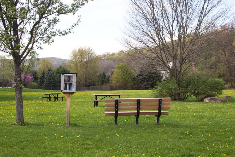 bench, little library, picnic tables, and green space