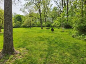 distant picnic table