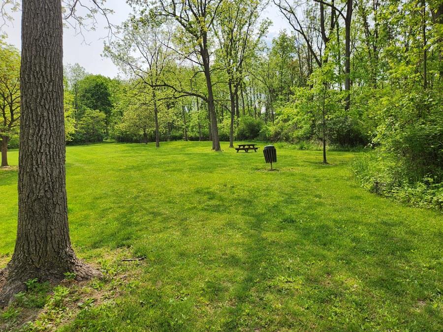 distant picnic table