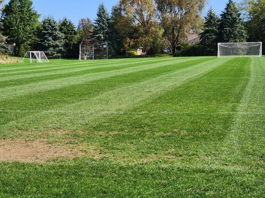 soccer and ball fields.