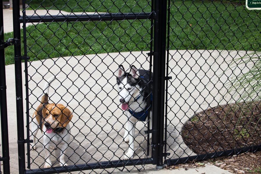 Philipsburg Dog Park, Centre County, Pennsylvania