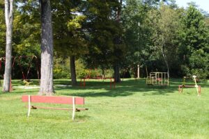 bench beside playground