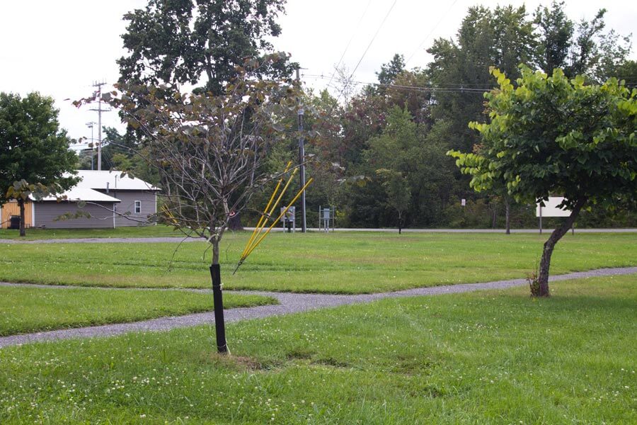 Rush Township Municipal Park, Philipsburg, Centre County, Pennsylvania