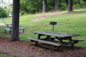 picnic tables and grill